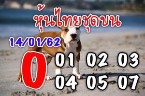 แจกชุดข้อมูลหวยหุ้น 14/1/62 ชุด 5