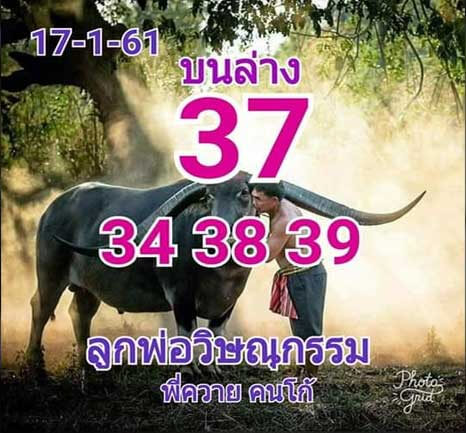 หวยพี่ควายคนโก้ 17/1/62