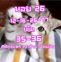 หวยแม่นฮานอย 26/2/62 ชุดที่ 4