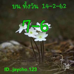 หวยหุ้นเลขแม่นทั้งวัน 14/2/62 ชุดที่ 5