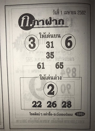 กาฝาก 1/4/62