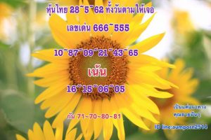 หวยหุ้นชุดเด่นทั้งวัน 28/5/62ชุดที่ 1