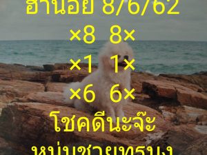 หวยฮานอยแม่นๆ 8/6/62 ชุดที่7