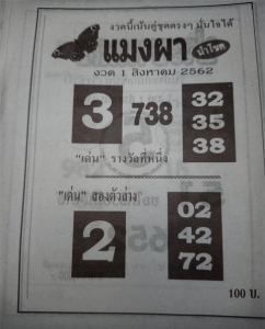 แมงผา 1/8/62