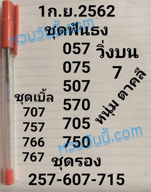 หวยหนุ่มตาคลี 1/9/62