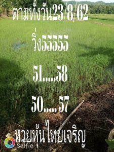 หวยหุ้นวันนี้ฟันธง 23/8/62 ชุดที่3