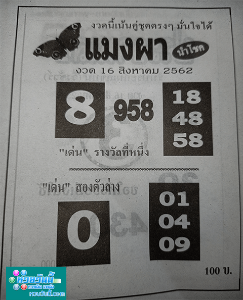 แมงผา 16/8/62