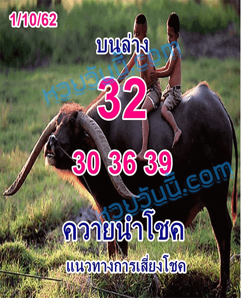 หวยควายนำโชค 1/10/62