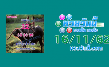 หวยควายนำโชค 16/11/62