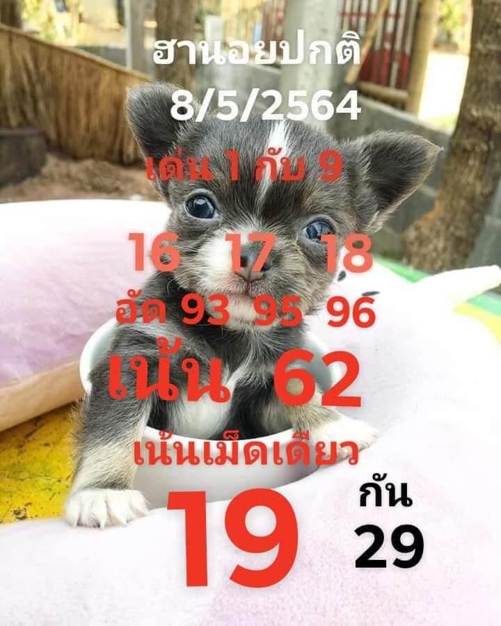 หวยฮานอยวันนี้ 8/5/64 ชุดที่14