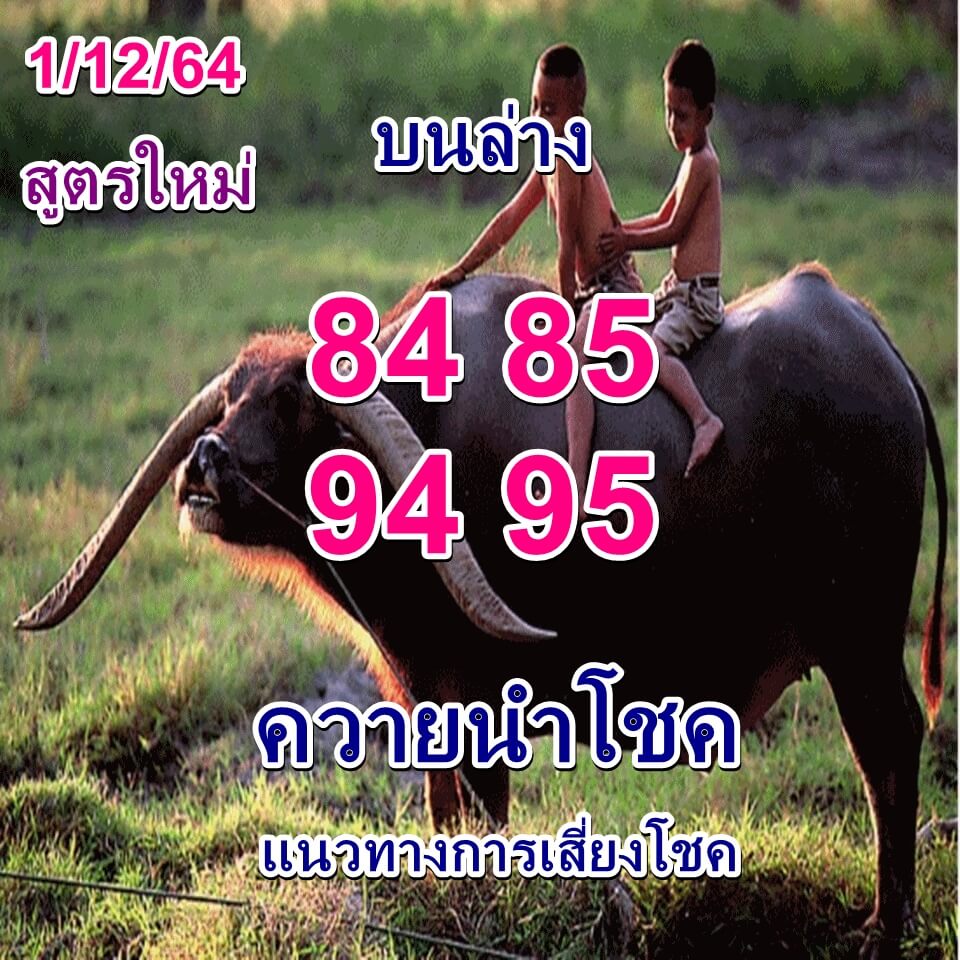 หวยควายนำโชค 1/12/64