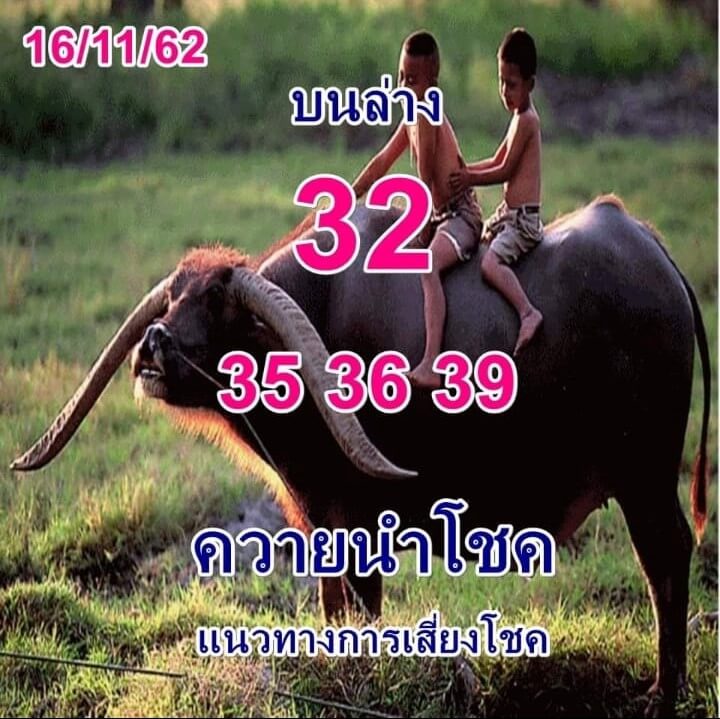 หวยควายนำโชค 16/11/64