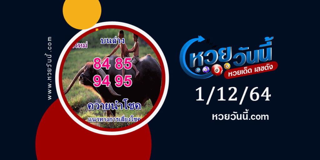 หวยควายนำโชค 1-12-64