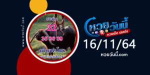 หวยควายนำโชค 16-11-64