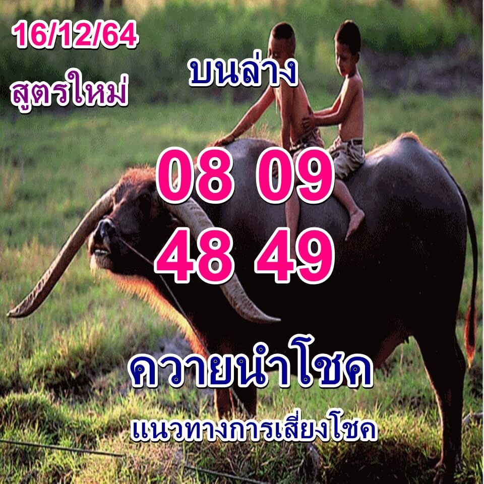 หวยควายนำโชค 16/12/64