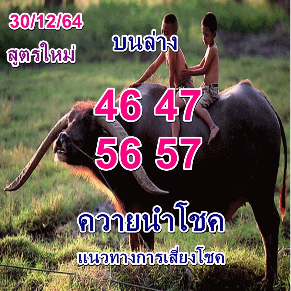 หวยควายนำโชค 30-12-64