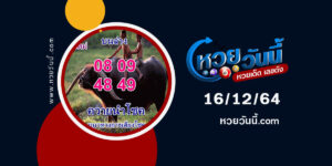 หวยควายนำโชค16-12-64