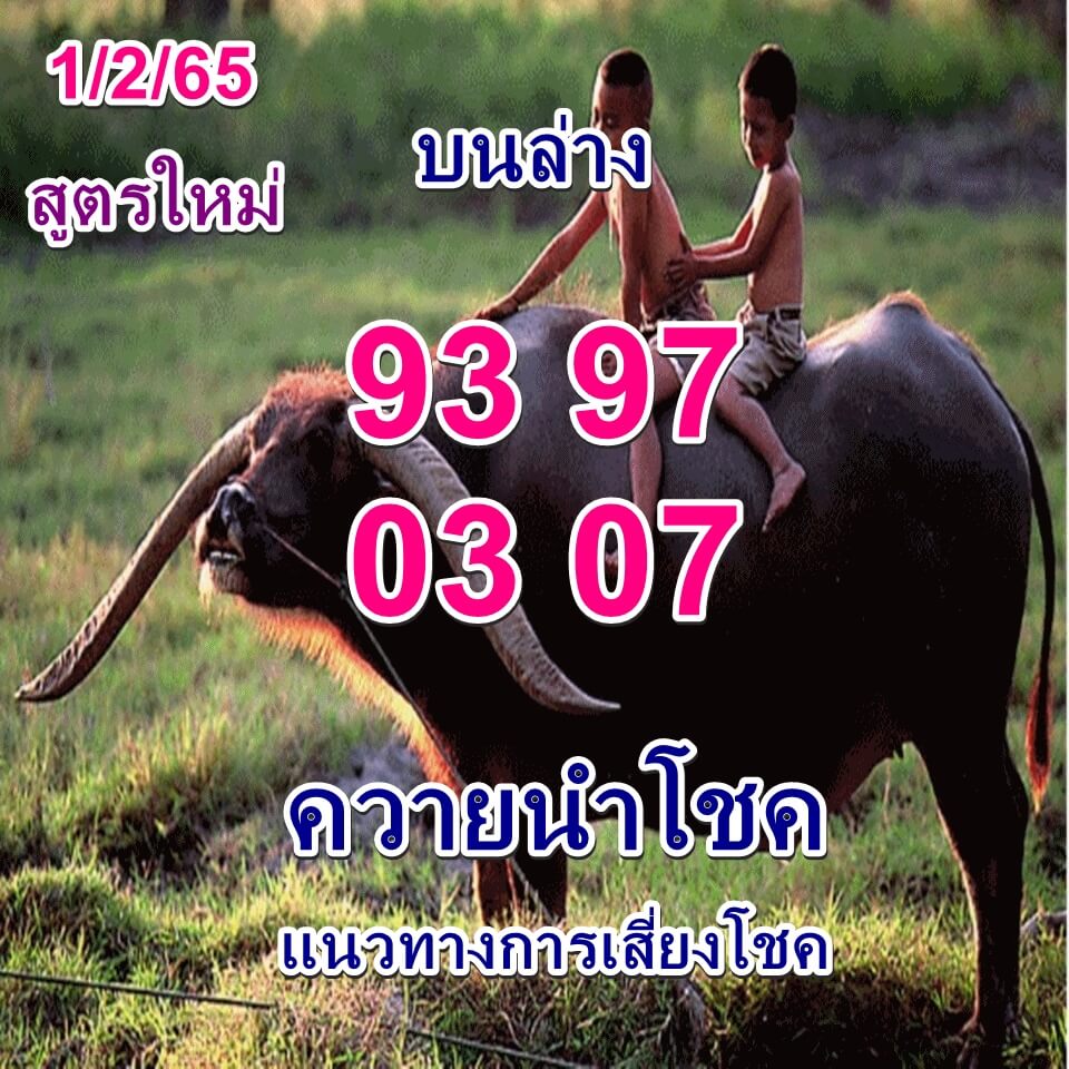 หวยควายนำโชค 1-2-65