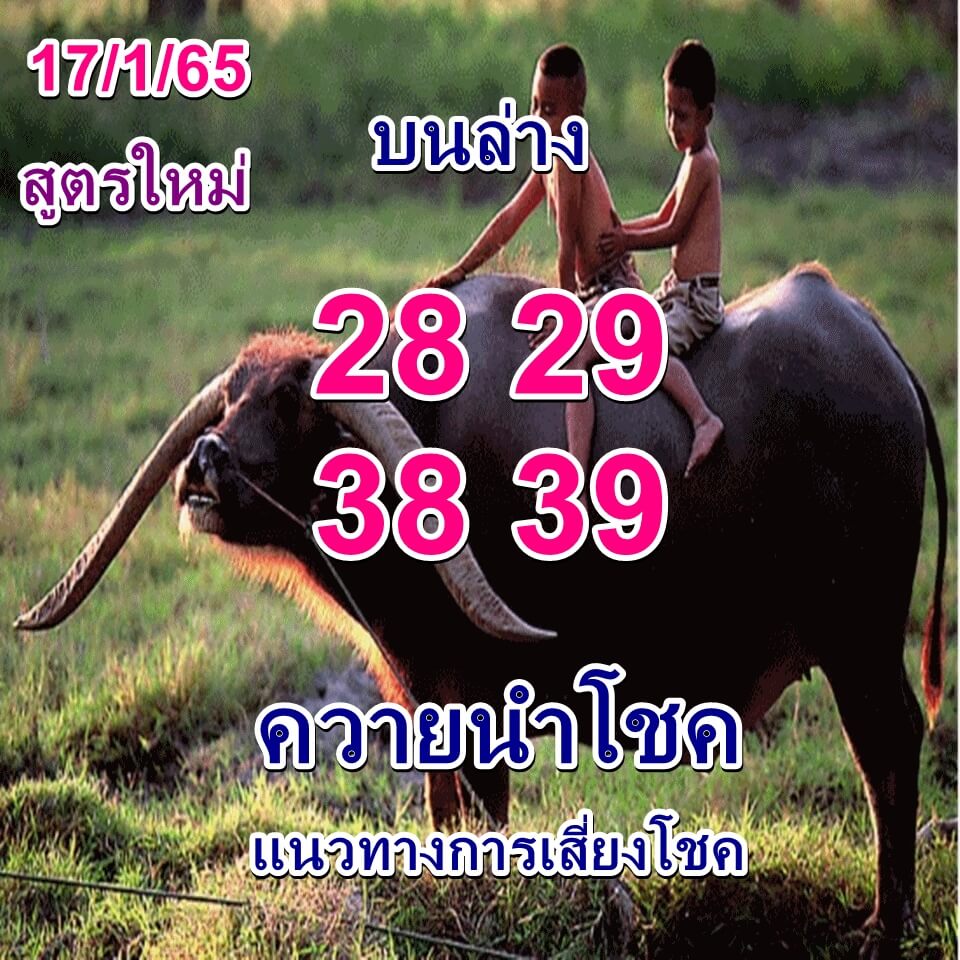 หวยควายนำโชค 17-1-65