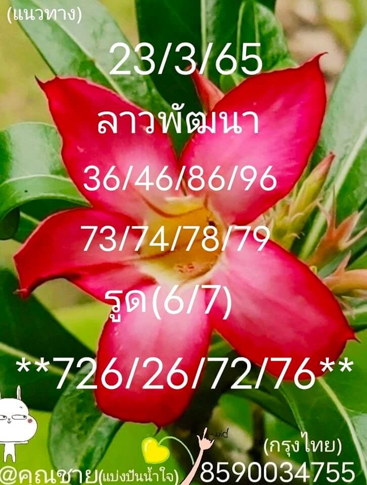 หวยลาววันนี้ 23-3-65 ชุดที่ (8)