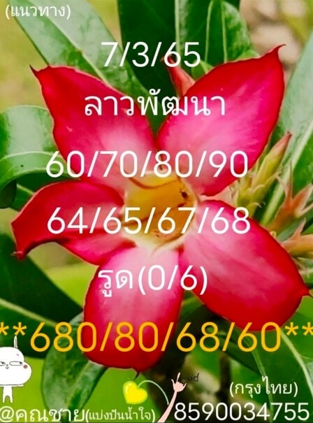 หวยลาววันนี้ 7-3-65 ชุดที่ (3)