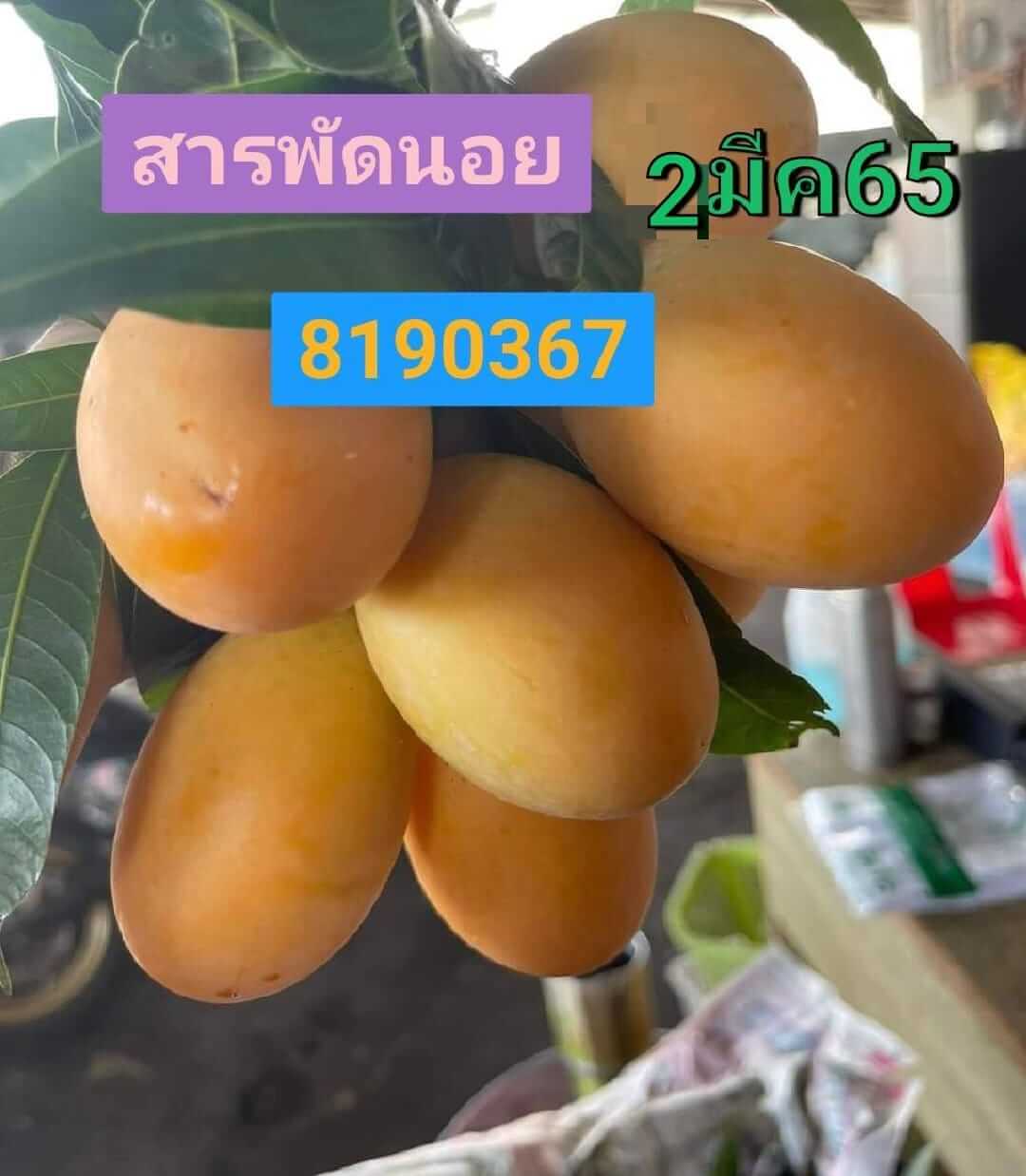 หวยฮานอยวันนี้ 2-3-65 ชุดที่ (3)