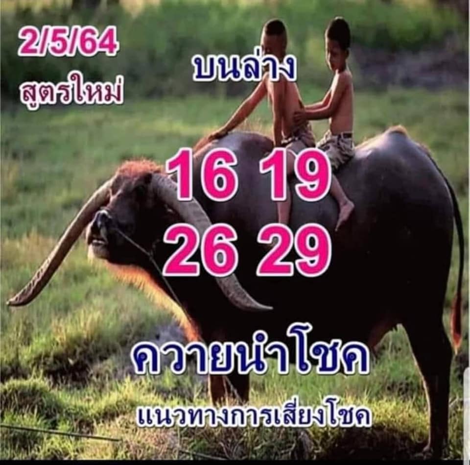 หวยควายนำโชค 2-5-65