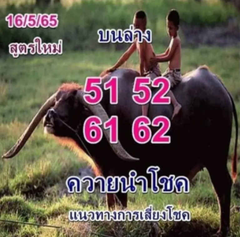 หวยควายนำโชค 16-5-65