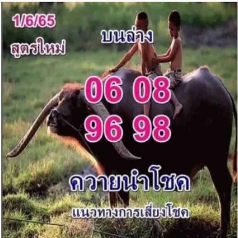 หวยควายนำโชค1-6-65