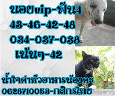 หวยฮานอยวันนี้ 21-5-65 ชุดที่ (5)