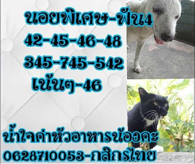 หวยฮานอยวันนี้ 21-5-65 ชุดที่ (7)