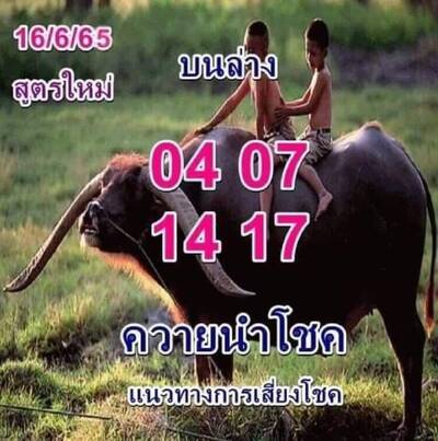 หวยควายนำโชค-16-6-65