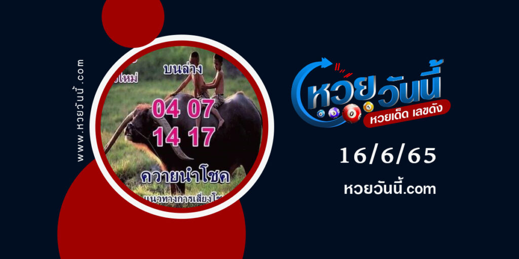 หวยควายนำโชค-งวด16-6-65