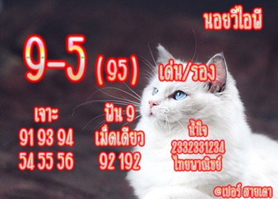 หวยฮานอยวันนี้ 11-6-65 ชุดที่ (10)