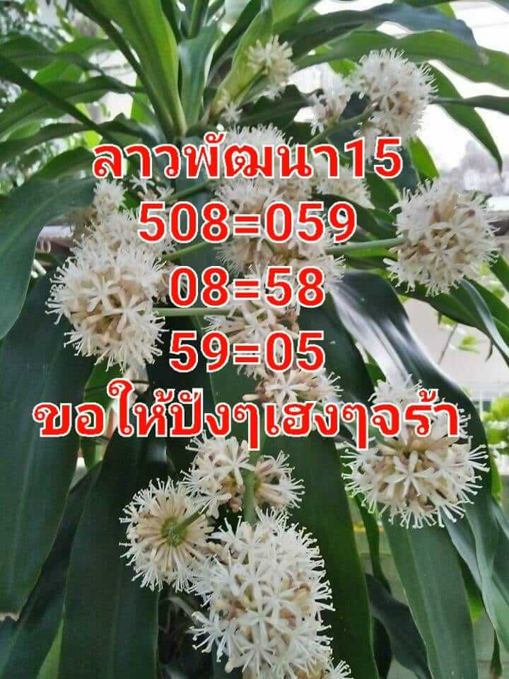 หวยลาววันนี้ 15-7-65 ชุดที่ (4)