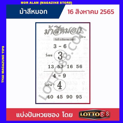 หวยม้าสีหมอก16-8-65