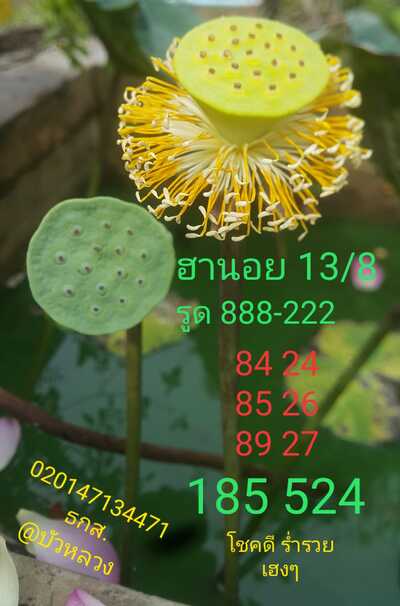 หวยฮานอยวันนี้ 13-8-65 ชุด (3)