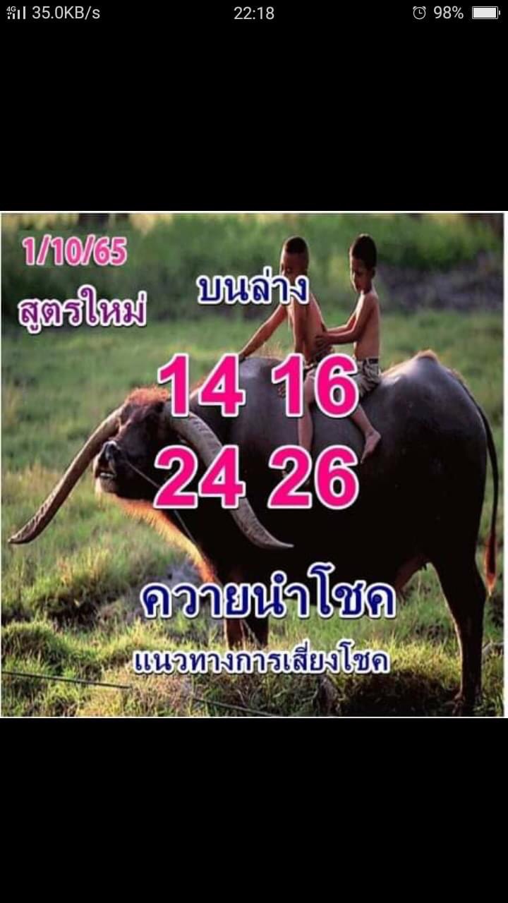 หวยควายนำโชค 1-10-65