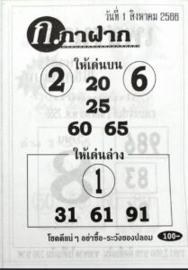 หวยเลขก.กาฝาก 31/7/66