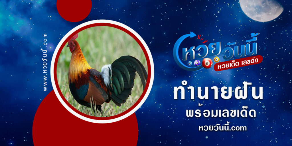 ปกทำนายฝันเห็นไก่