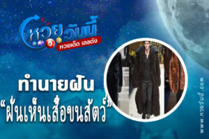 ทำนายฝันเห็นขนสัตว์