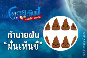 ทำนายฝันเห็นขี้