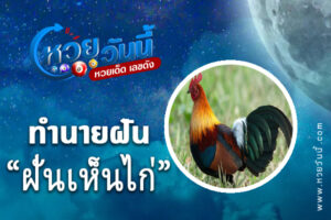 ทำนายฝันเห็นไก่