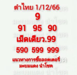 หวยมะยมแดง 1/12/66