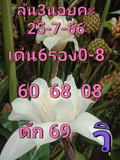 หวยฮานอยวันนี้ 25/7/66 ชุดที่ 10