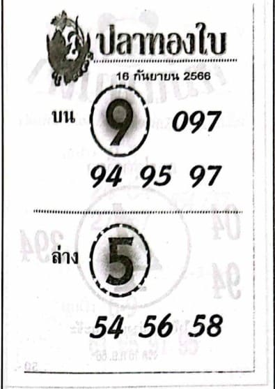 หวยปลาทองใบ 16/9/66