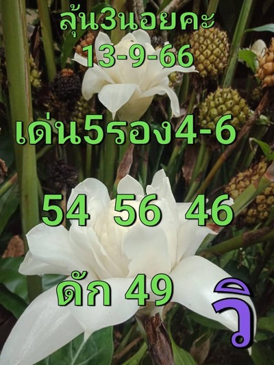 หวยฮานอยวันนี้ 13/9/66 ชุดที่ 1