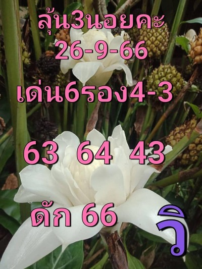 หวยฮานอยวันนี้ 26/9/66 ชุดที่ 6