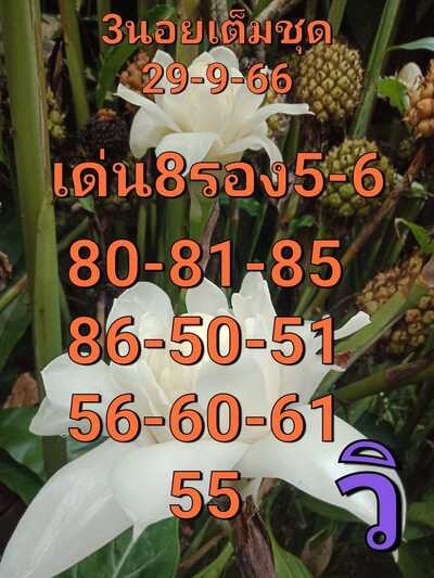 หวยฮานอยวันนี้ 28/9/66 ชุดที่ 3