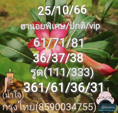 หวยฮานอยวันนี้ 25/10/66 ชุดที่ 5